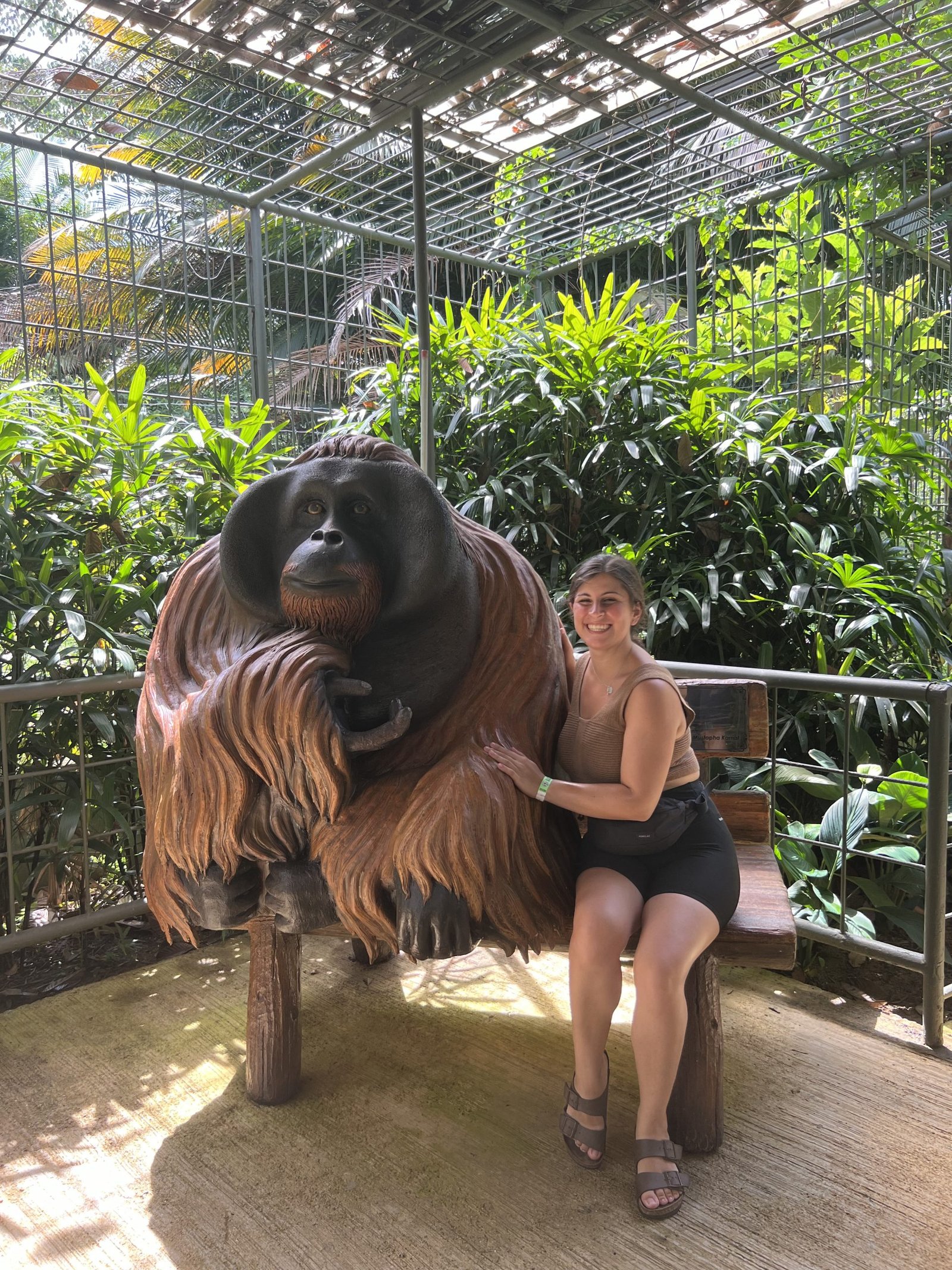 Scopri di più sull'articolo L’ISOLA DEGLI ORANGOTANGO: VISITA A BUKIT MERAH