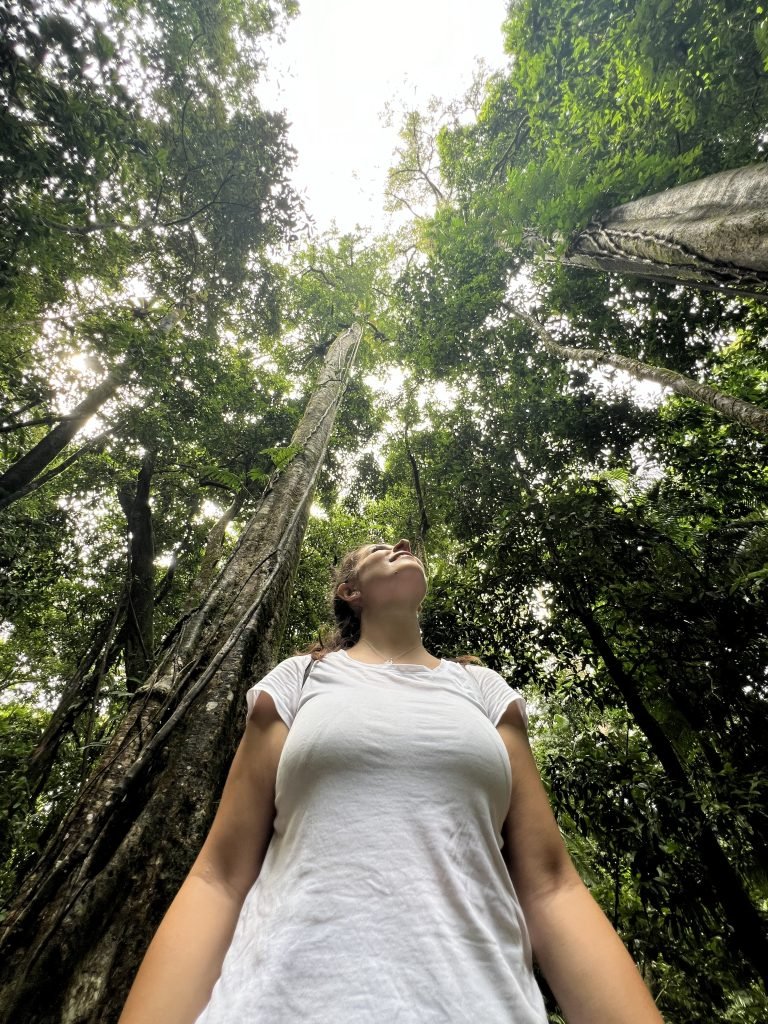 Scopri di più sull'articolo LA FORESTA PIÙ ANTICA DEL MONDO: LA DAINTREE