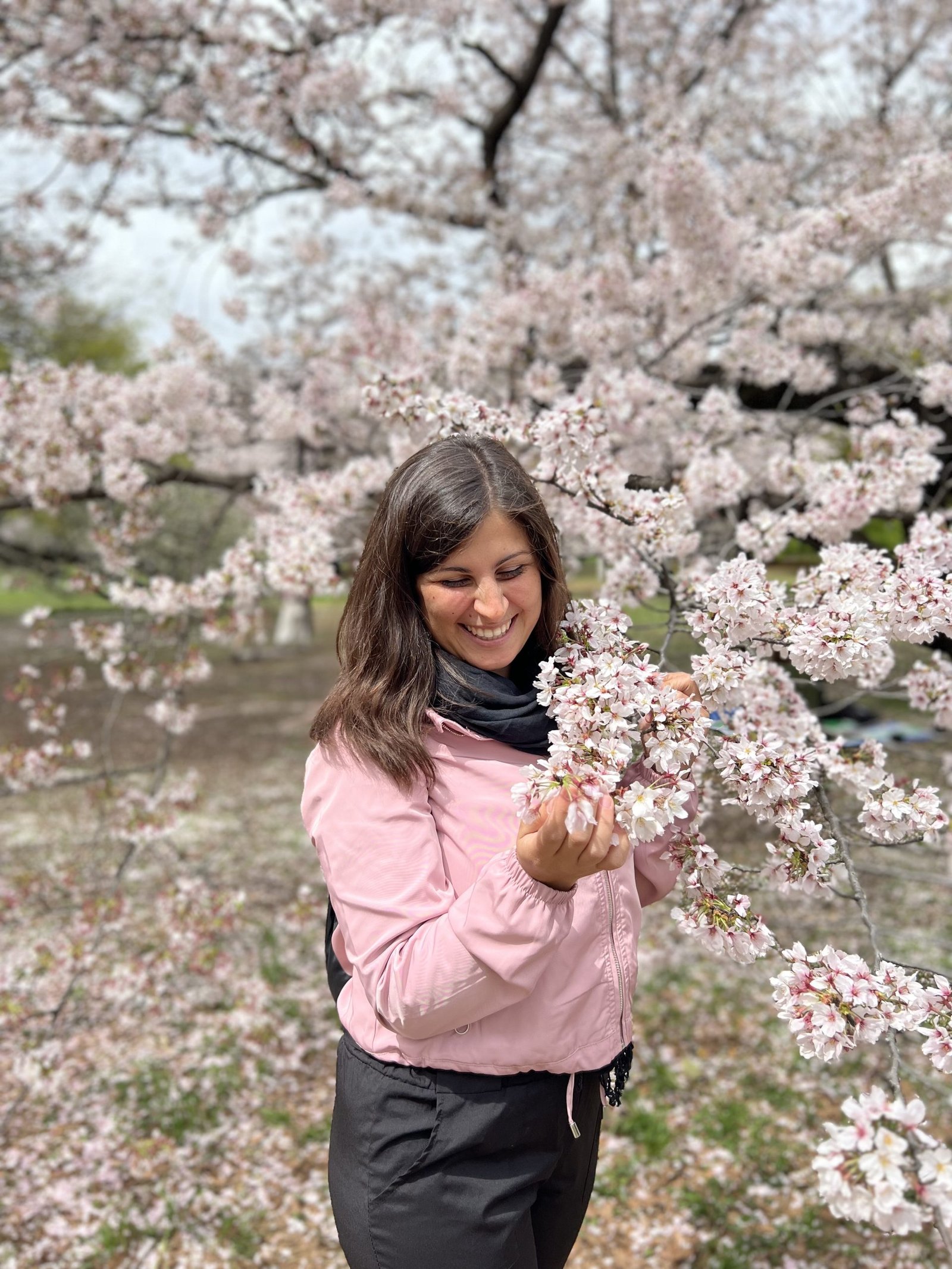 Scopri di più sull'articolo TOKYO: INFO UTILI PER VISITARE LA CAPITALE DEL GIAPPONE